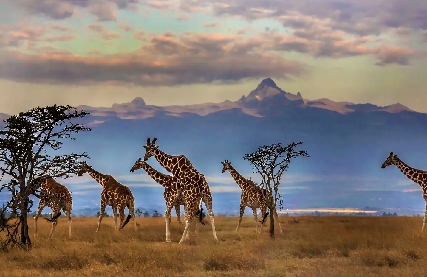 DATA LED: The best places to be a digital nomad